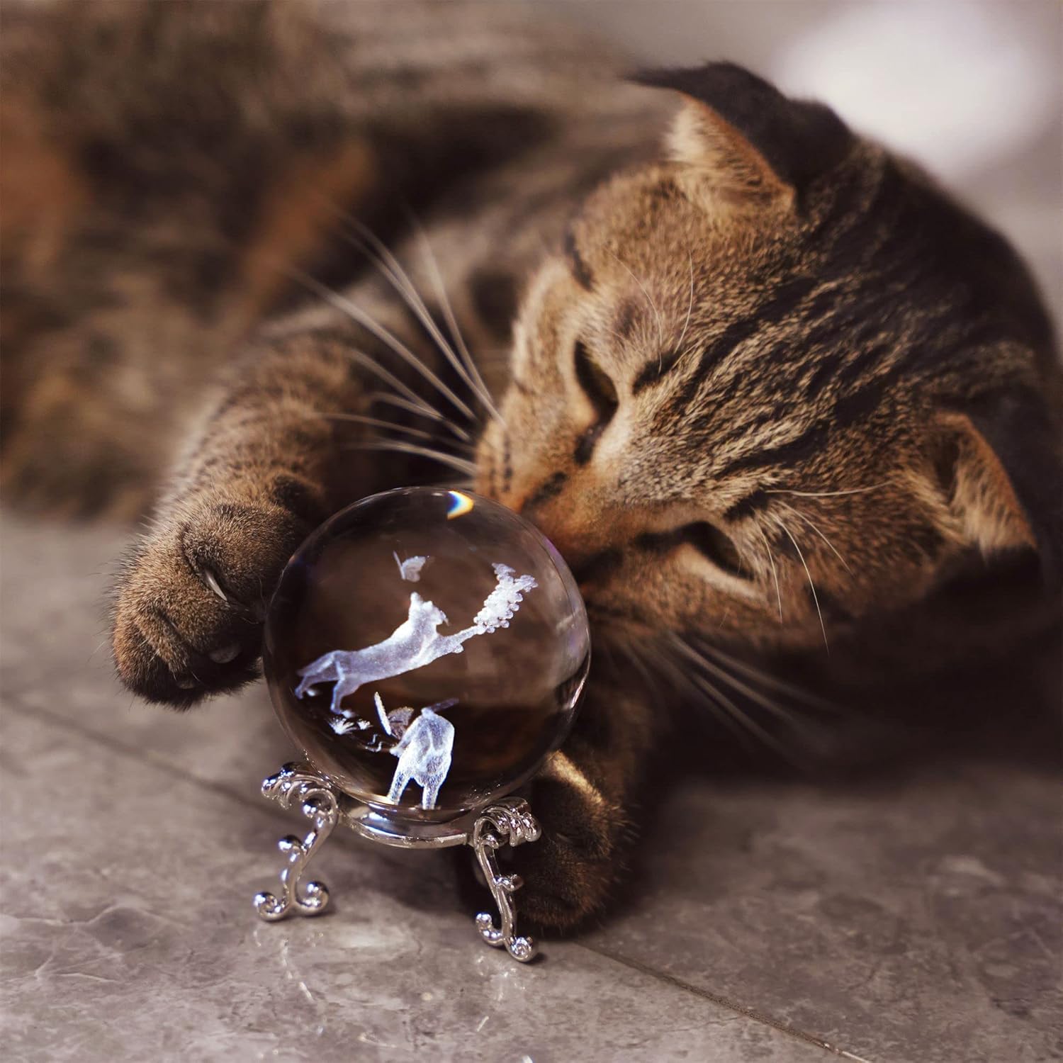 60mm Cat Crystal Ball with Met - đánh giá và giá 3D Printing Laser Cutting