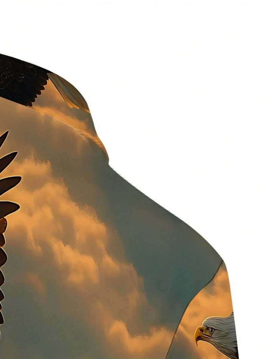 Soaring Eagle 3D Print Mens Ca - đánh giá và giá 3D Printing Eagle
