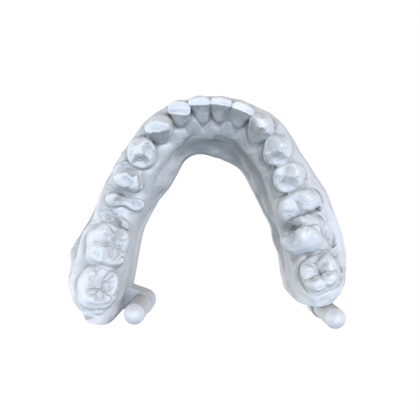 1 PCS Dental Model Preferred 3 - đánh giá và giá 3D Printing Dental